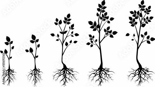 Watch life bloom: A growth sequence showing the beautiful evolution of a tree from seedling to mature plant, perfect for nature and progress themes