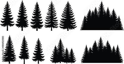 Silhouette evergreen trees collection for forest design, natural pine tree set, woodland landscape elements
