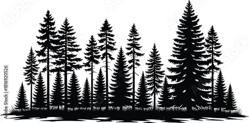 Dense pine forest silhouette, evergreen tree woodland illustration for nature landscape design, outdoor scenery artwork, decoration