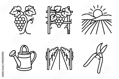 Vineyard Icons Collection. Vineyard Set linear icon set: grapevine, trellis, vineyard row, sun over hills, watering can, pruning shears