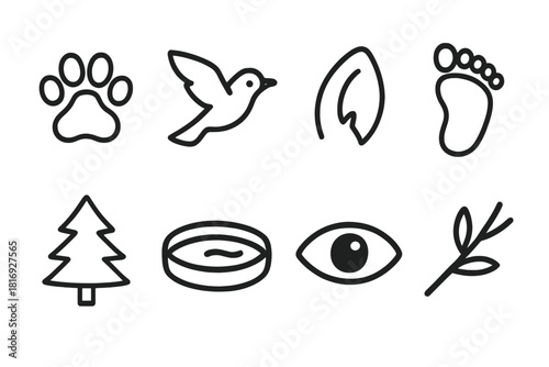 Animal Behavior Icons. Animal Behavior linear icon set: paw prints, bird flying, animal ear, footprint, forest tree, watering hole, animal eye, branch