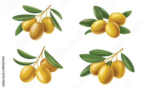 Four sprigs of ripe golden olives with green leaves on white background