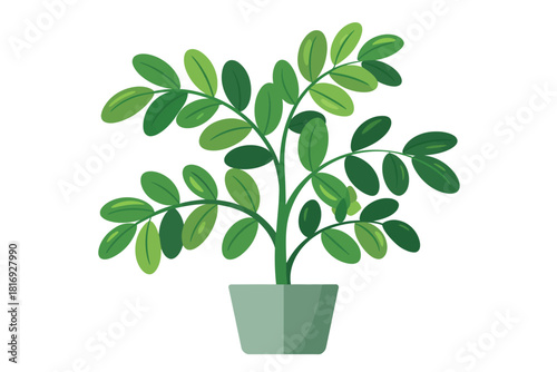 Green leafy plant in a light green pot with a white background