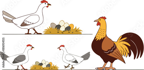 'Farm animals vector illustration featuring a proud rooster standing beside two hens and their clutches of eggs in nests'