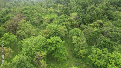 Karkatgarh Waterfall in the Kaimur region of Bihar, India, surrounded by dense forest and rocky terrain. A powerful cascade during monsoon, showcasing raw natural beauty and a tranquil wilderness esca