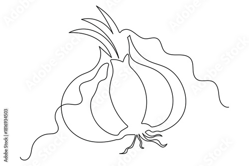 Garlic bulb illustration in simple minimalist line art style