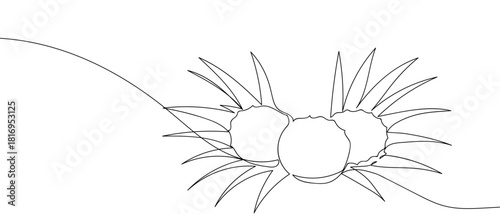 Three pieces of pineapple are placed on a pineapple leaf in one continuous line. one line vector illustartion Editable stroke.