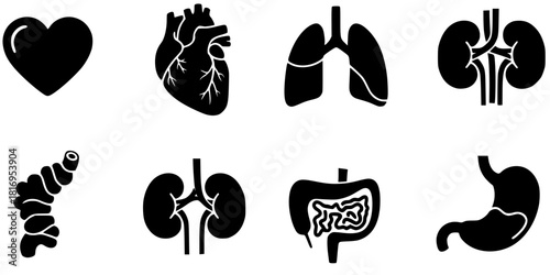 Minimalist Human Organ Heart Lungs Kidney Silhouette Set