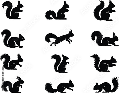 Twelve Detailed Black Squirrel Silhouettes Jumping Running Sitting Poses Vector Illustration Set, Wild Forest Mammal Graphic Pack, Rodent Wildlife Animal Icons, Nature Logo Design Element, Cute Tail A