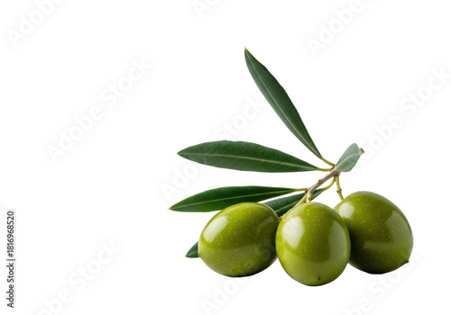 Wallpaper Mural Three plump, brilliant green olives on a delicate branch with dark leaves, resting on transparent linen, blurred background with negative space, concept for healthy eating and natural ingredients Torontodigital.ca