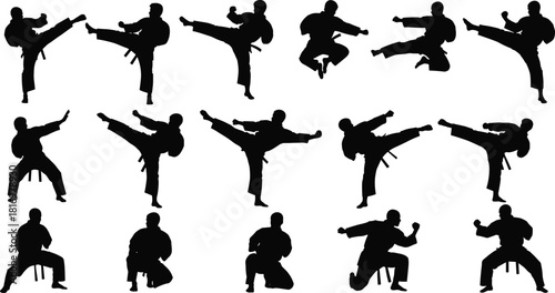 Martial arts silhouette collection featuring dynamic karate kicks, punches, training poses, combat stances, action movements, self-defense techniques for creative design use