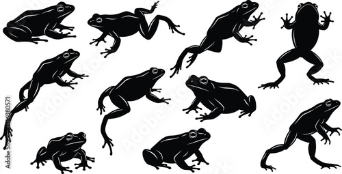 Set of ten dynamic frog and toad silhouettes captured in various active poses including swimming, jumping, and sitting, perfect for biology, ecology, wildlife illustration