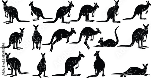 Silhouette collection of kangaroos in various poses, wildlife animal shapes, Australian kangaroo illustration set, vector design elements, black silhouettes