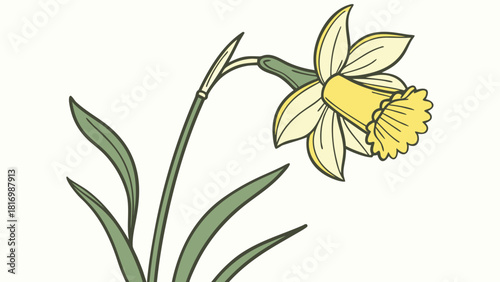 Welsh daffodil national flower simple icon