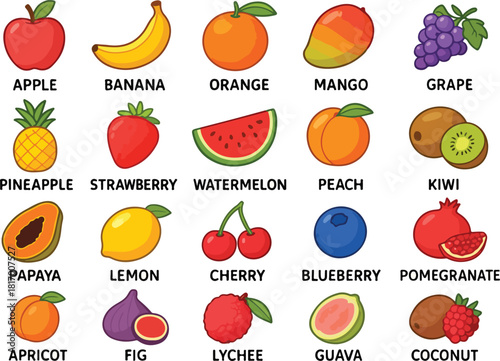 Colorful Vector Illustration of 20 Fruits