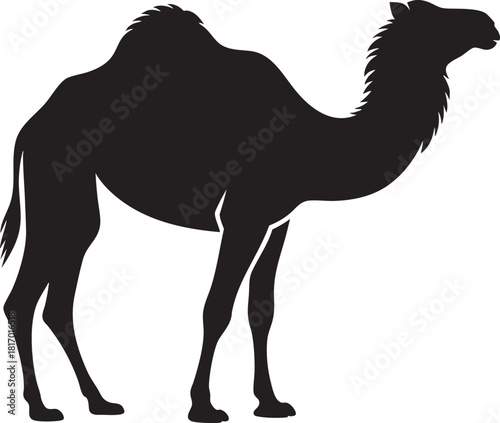 A stark black silhouette of a dromedary camel with one hump, standing on a plain white background.