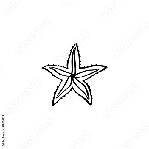 Sea star hand drawn vector illustration