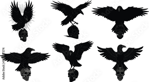 dark raven illustrations perched on human skulls with spread wings for tattoo design, gothic horror artwork set