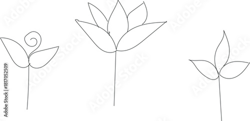 Three minimalist flower illustrations, each with unique petal arrangements and slender stems, creating a simple and elegant botanical design