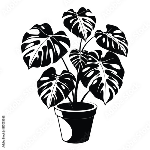 monstera deliciosa plant in a pot black and white silhouette