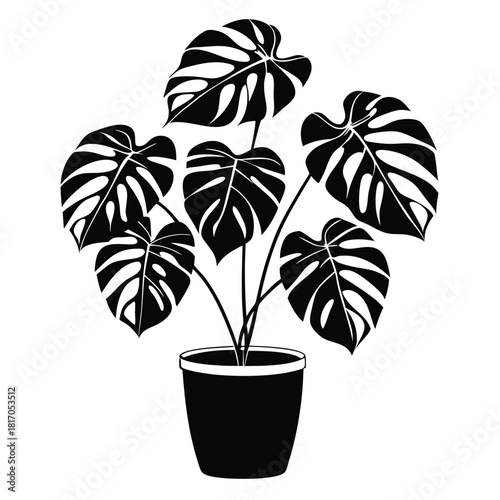 monstera deliciosa plant in a pot black and white silhouette