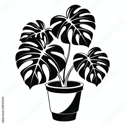 monstera deliciosa plant in a pot black and white silhouette