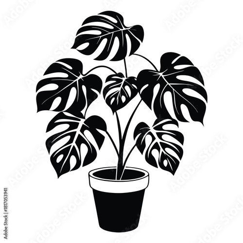 monstera deliciosa plant in a pot black and white silhouette
