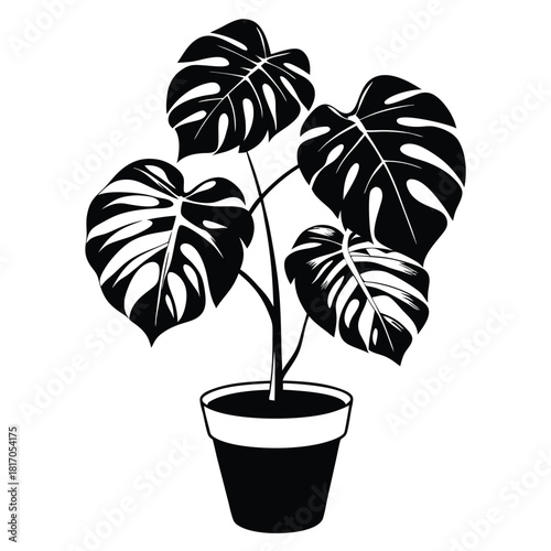 monstera deliciosa plant in a pot black and white silhouette