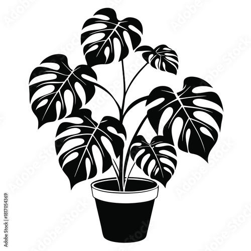 monstera deliciosa plant in a pot black and white silhouette