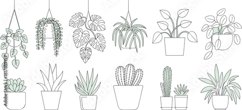 Set of Minimalist Line Art Houseplants, Potted Succulent, Cactus, and Hanging Ivy Plants, Indoor Garden Vector Illustration Collection.
