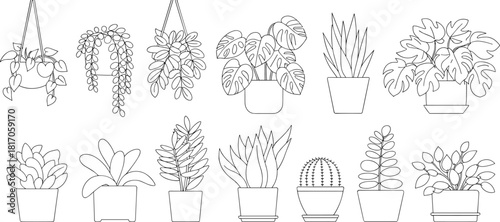Set of Minimalist Line Art Houseplants, Potted Succulents, Cactus, and Hanging Tropical Plants, Indoor Garden Vector Outline Collection.