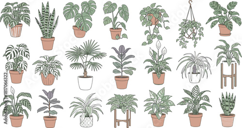 Minimalist houseplant vector set with potted indoor plants in decorative containers, showcasing botanical variety and stylish greenery design.