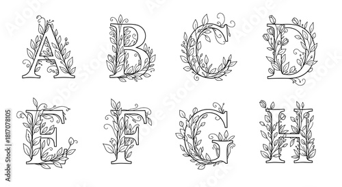 An elegant vector illustration features decorative capital letters A through H, intricately adorned with botanical leaves and swirling vines in a refined outline style.