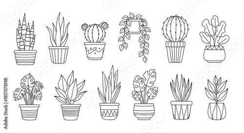 A diverse collection of modern outline vector illustrations featuring various potted house plants, succulents, and cacti, perfect for interior design and botanical themes.
