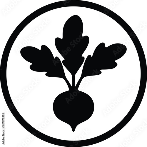 Illustrator Beet root vegetable with leaves organic farm Silhouette vector