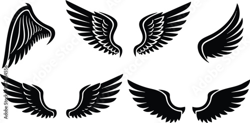 Wing illustrations featuring various styles and designs for creative projects and artistic expression 