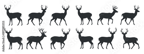 Collection of Deer Silhouettes on Transparent Background