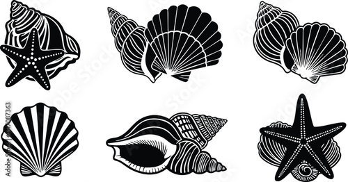 Sea shells and starfish collection in black and white vector illustration for marine-themed designs and projects 
