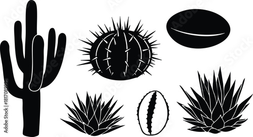 Cactus collection featuring various types including saguaro, barrel, and agave in black silhouette style for botanical designs 