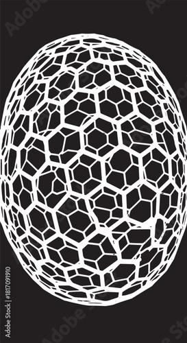 Geometric white mesh egg design on dark background.