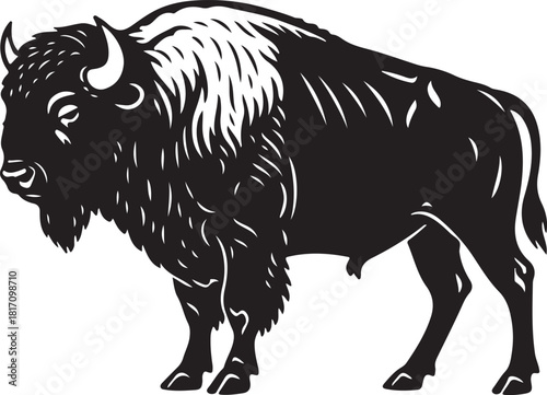 Buffalo Silhouette Vector Illustration American Bison