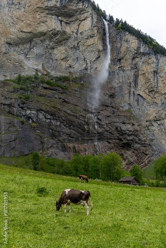 lauterbrunnen waterfall in swiss alps