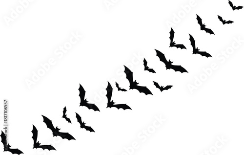 Silhouette of a group of bats flying in formation on a white background