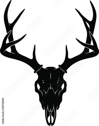 Black and white deer skull with antlers illustration for design projects