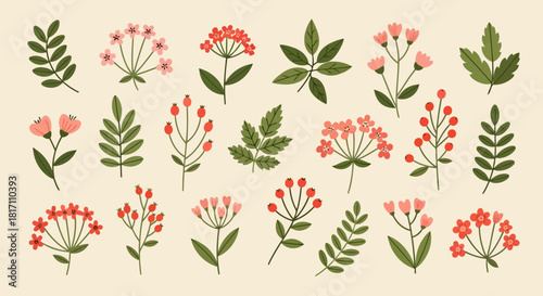 Collection of colorful flowers and leaves in various shapes and sizes, illustrated in a charming botanical style