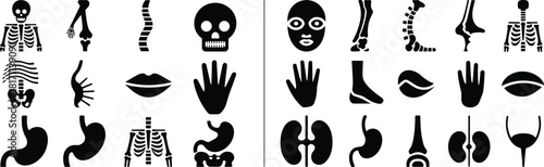 silhouette human anatomy icons including skeleton skull spine hand stomach kidney and bones for medical healthcare biology and science projects.