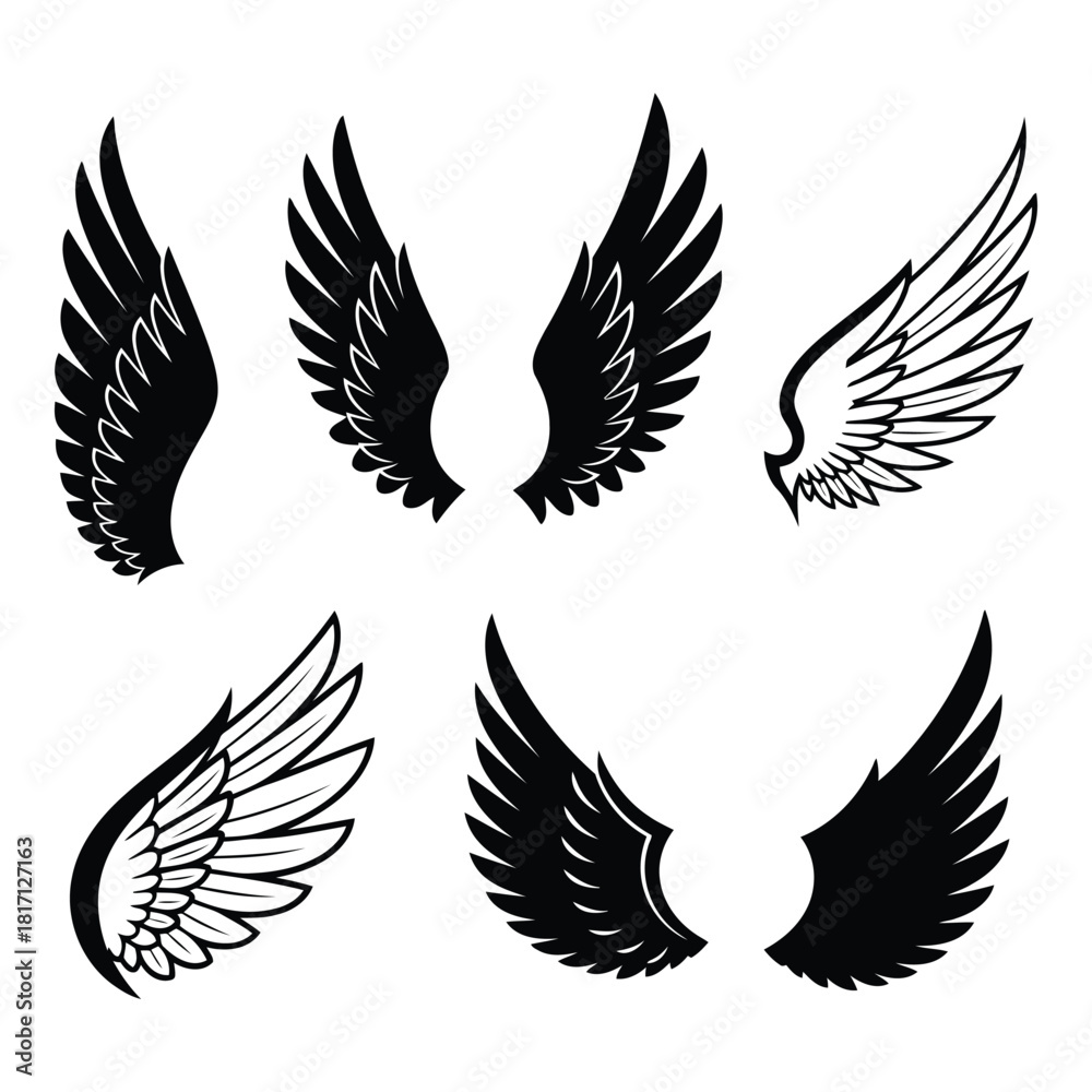 Fototapeta premium Collection of stylized black and white wing illustrations