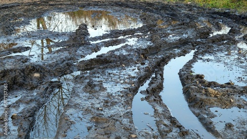Billede på lærred Deep muddy ruts filled with water and tree reflections, formed by heavy vehicles