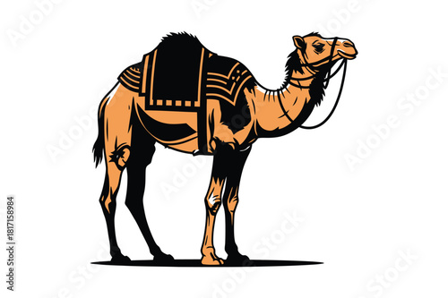 Illustration of a dromedary camel with saddle