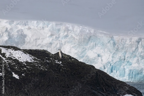 Fotografie One lone chinstrap penguin in front of a towering glacier in Antarctica